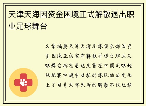 天津天海因资金困境正式解散退出职业足球舞台