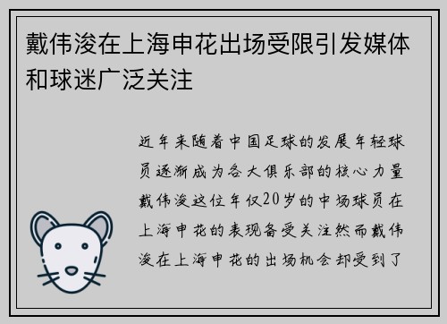 戴伟浚在上海申花出场受限引发媒体和球迷广泛关注